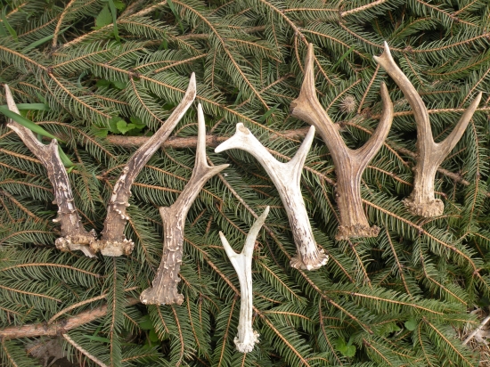 O víkendu se mi dařilo