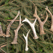 O víkendu se mi dařilo