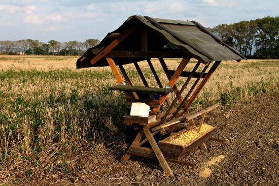 Můj krmelec+ lapač srnčích parůžků