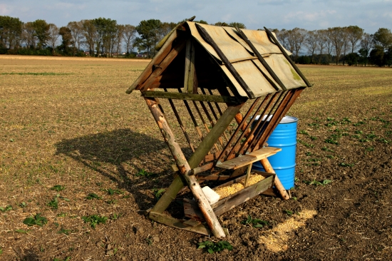 Můj krmelec 2+ lapač srnčích parůžků