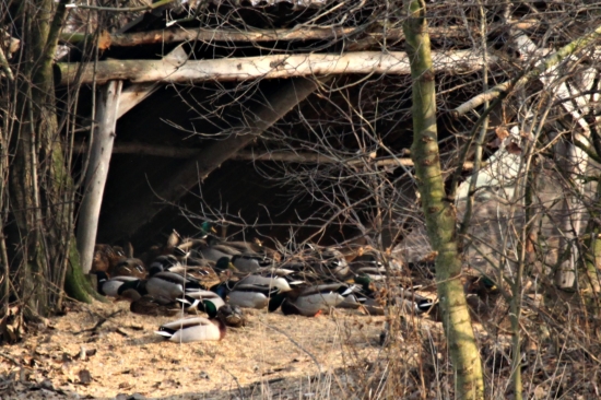 Voják se stará, voják má :-)