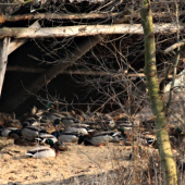 Voják se stará, voják má :-)