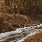 Pečlivě se starám