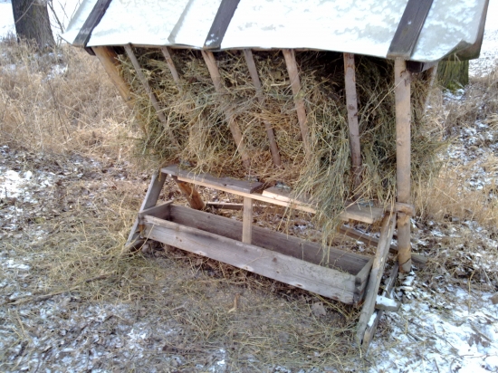 Prázdné, ale nechali mi tady odměnu.