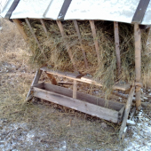 Prázdné, ale nechali mi tady odměnu.