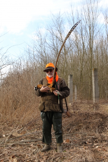 Lov Bažanta Královského v naší honitbě