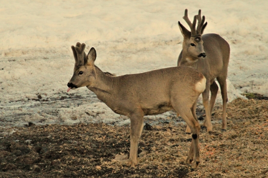 Ty, ale je to dobré že?