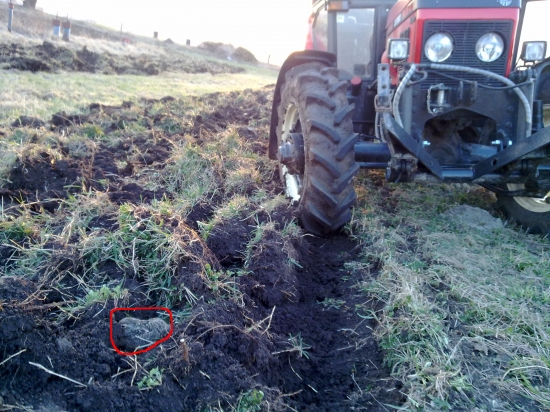 Zajíček zastavil orbu :-)