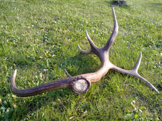 Další do mé sbírky