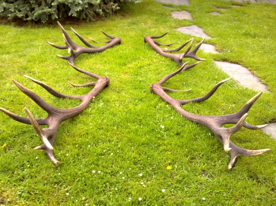 Jiný pohled k ID 165927