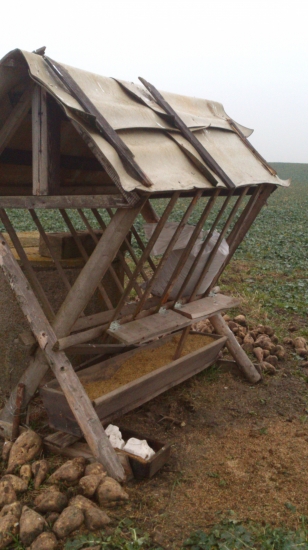 Lapač srnčích parůžků