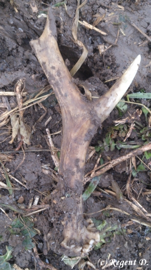 Po vytažení ID 191042