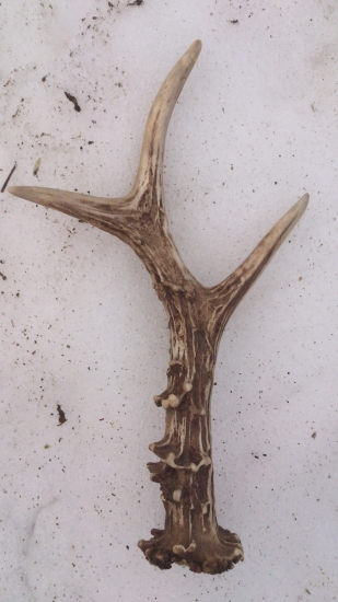 Roztál sníh a hned jsem vyrazil :-)