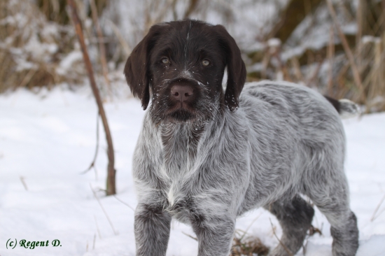 Mám nového parťáka :-)