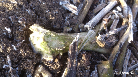 Chtělo to o tři roky dřív :-(