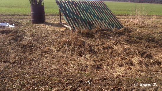 První pohled, když sleze sníh :)