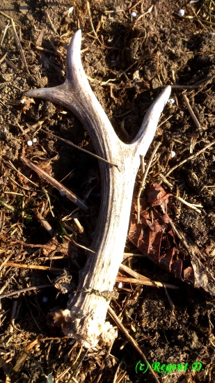 A tady je z blízka :-)