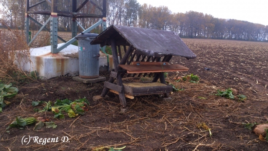 Další krmelec na svém místě :)