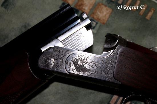 rytina na mém kulobroku AZ