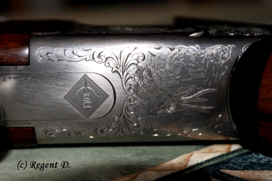 Rytina na mém kulobroku AZ