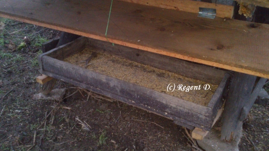 První parůžek v letošní sezoně 2013