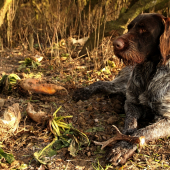 A další v sezoně 2013