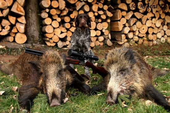 Když se ještě dařilo...