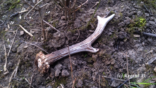 Asi poslední tuto sezonu...