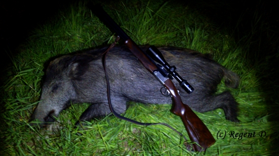 Včerejší kňourek