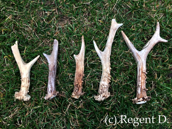 č. 34,35,36,37,38 letos