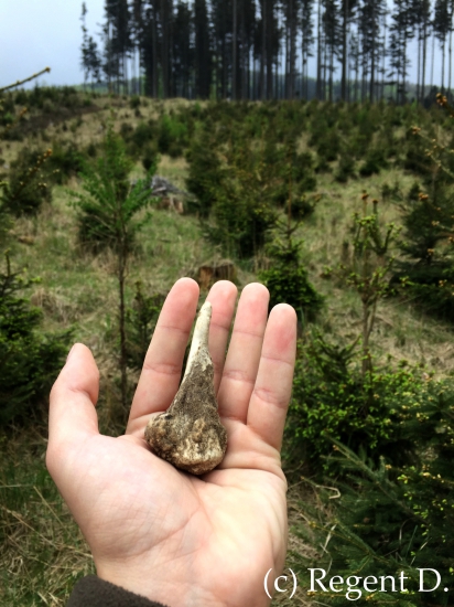 Dančí loňský :))