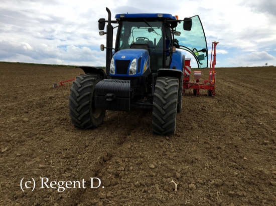 č.44 letos - málem sem ho přejel :)