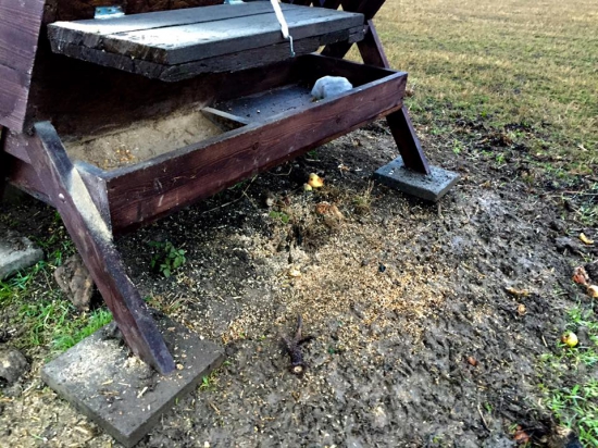 Dnešní odměna u krmelce