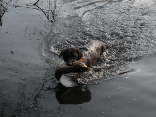 Na Včerejších kačenách