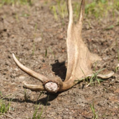 Včera se zadařilo :-)