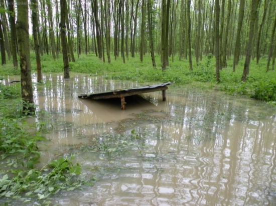 ta voda je vsude :-(