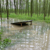 ta voda je vsude :-(