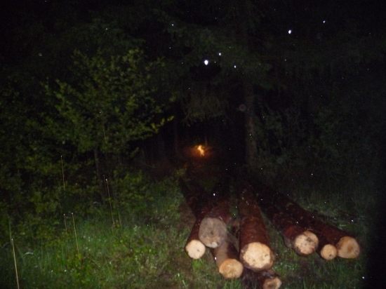 nedokážu určit co to je