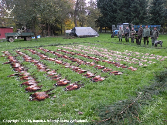 Výřad