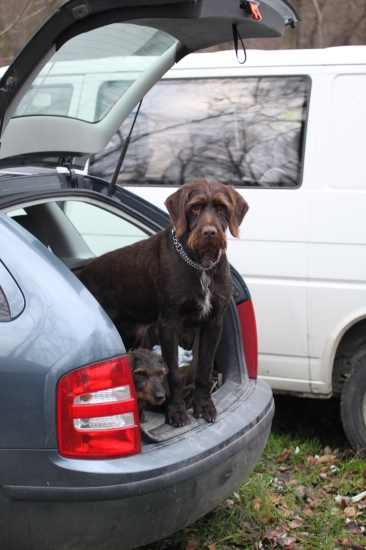 My chcem jít taky!!