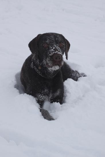 když je teplota přes den -10