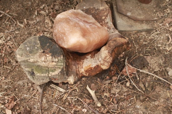 Dobře ten rok začíná :-)