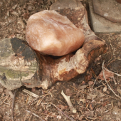 Dobře ten rok začíná :-)