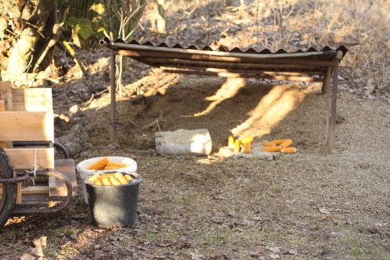 Vždy jednou za dva dny 2