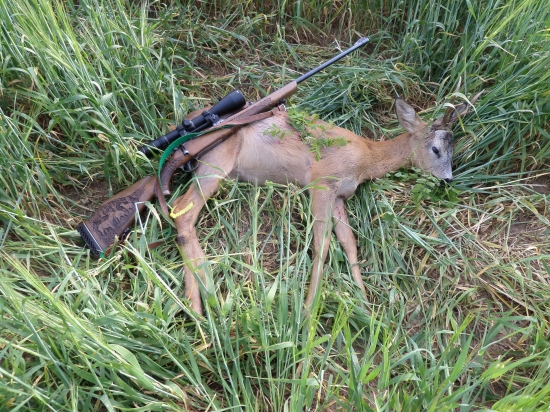 môj promočný srnček :)