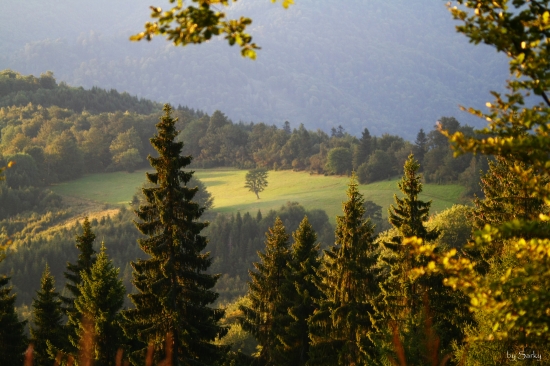 Čergovské ráno