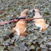 ranné vstávanie sa vyplatilo