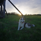 Podvečerna prechadzka