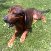 Athos