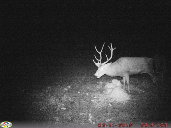 id283603,id282105,id282030
